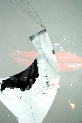 Patricia Kaiser, untitled 2010, photograph, 40 x 30 cm